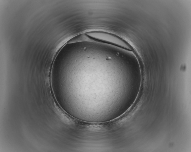 X0000090981137200708161850