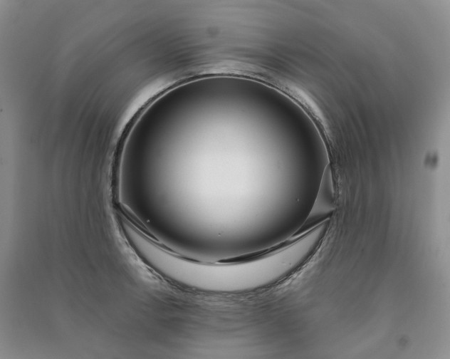 X0000090981138200708161850