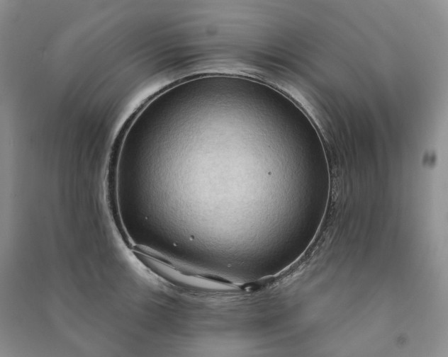 X0000090981139200708161850