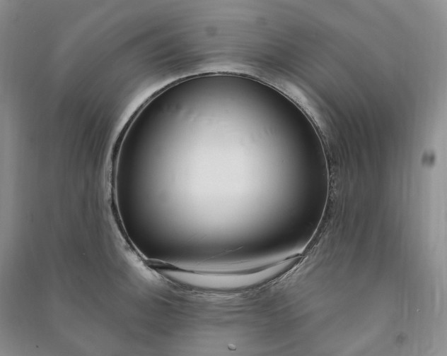 X0000090981140200708161850