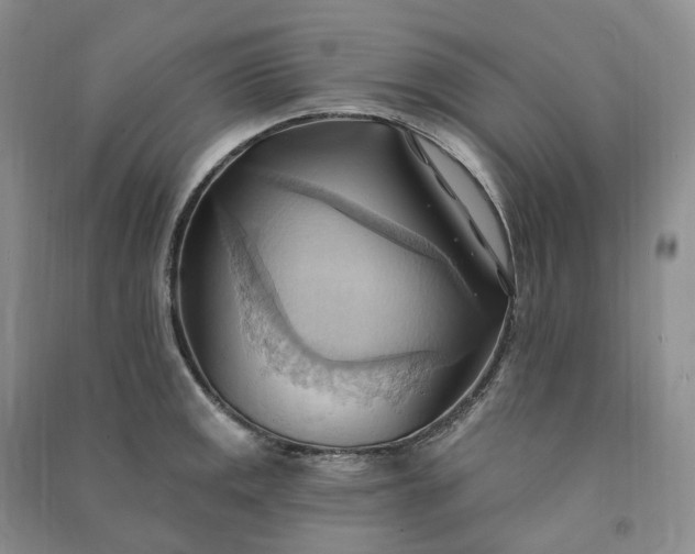 X0000090981141200708161850