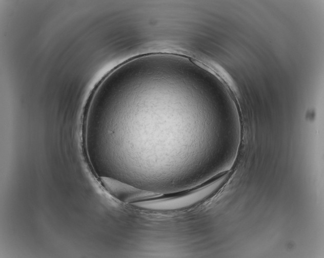 X0000090981144200708161850