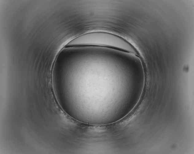 X0000090981145200708161850
