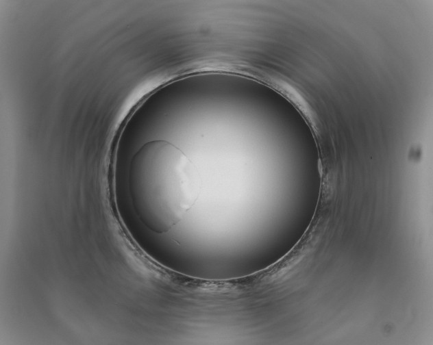 X0000090981146200708161850