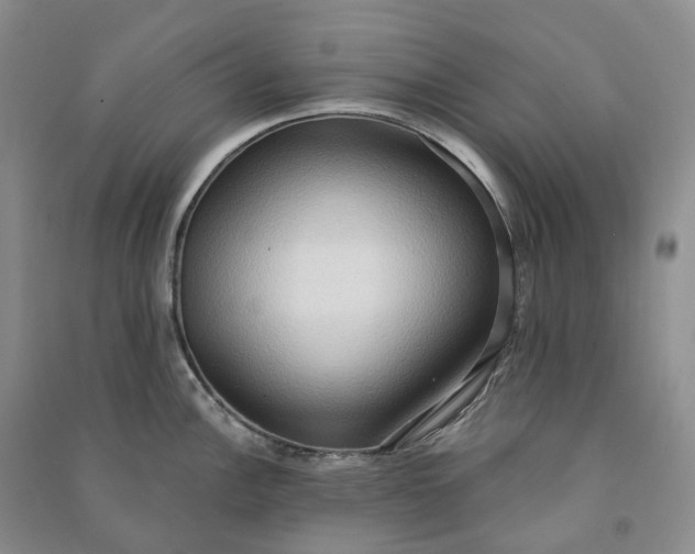 X0000090981148200708161850