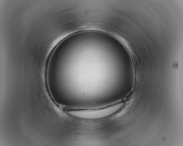 X0000090981149200708161851