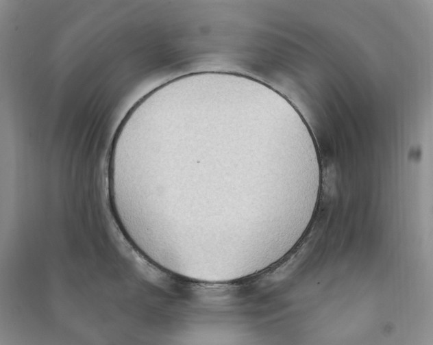 X0000090981150200708161851