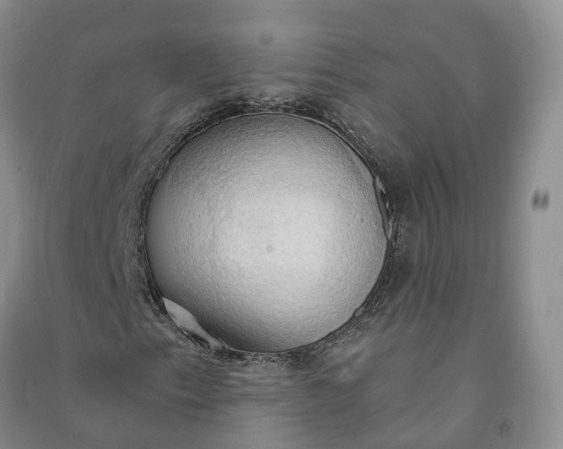X0000090981153200708161850