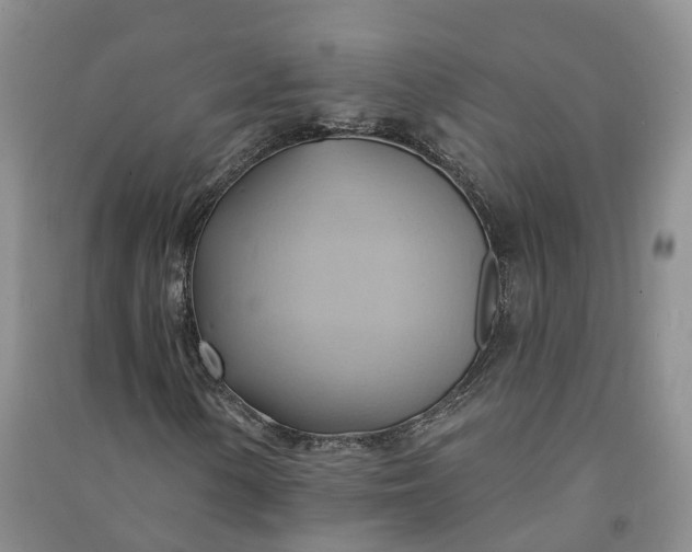 X0000090981154200708161850