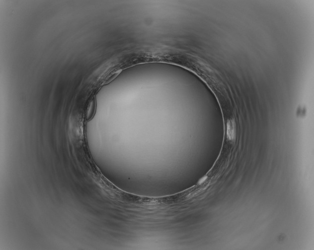 X0000090981155200708161850
