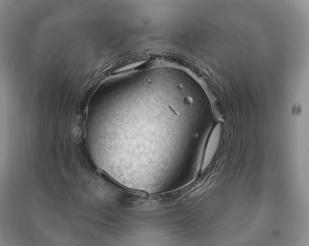 X0000090981156200708161850