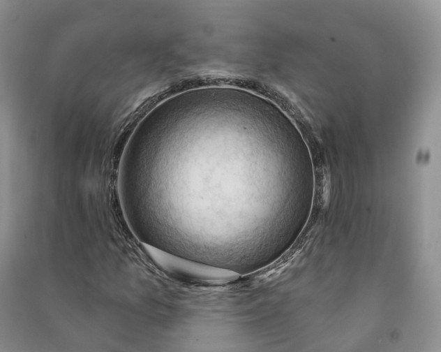 X0000090981157200708161850
