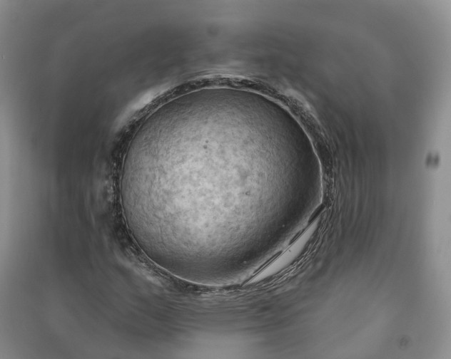 X0000090981159200708161850