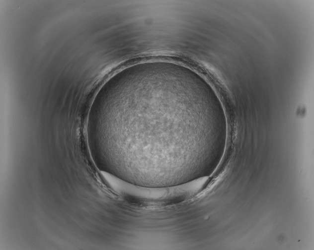 X0000090981161200708161850