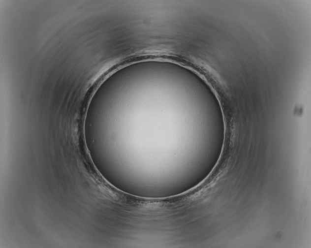 X0000090981162200708161850