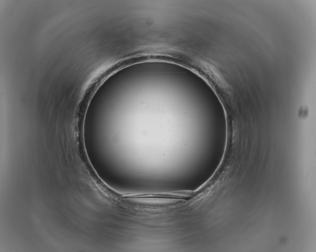 X0000090981164200708161850