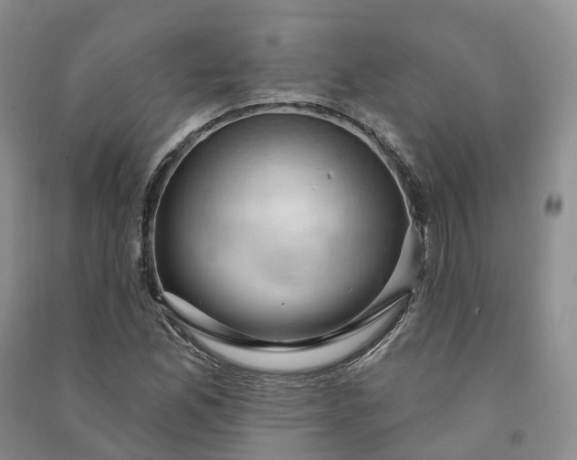 X0000090981165200708161850