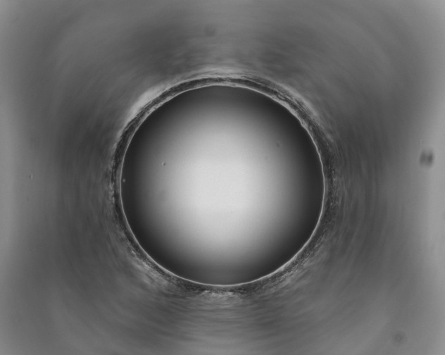 X0000090981168200708161850