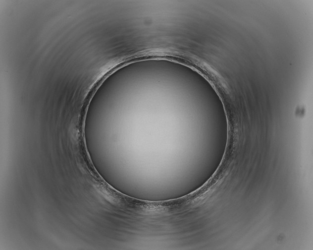 X0000090981170200708161850