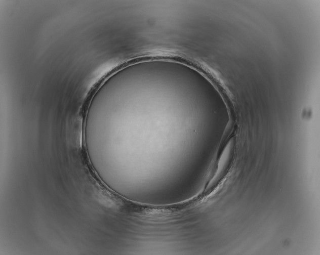 X0000090981171200708161850
