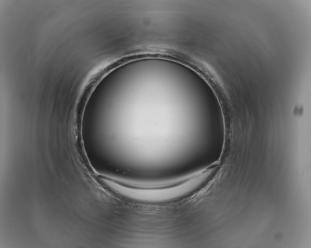 X0000090981172200708161850