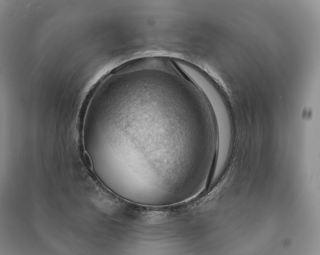 X0000090981173200708161850