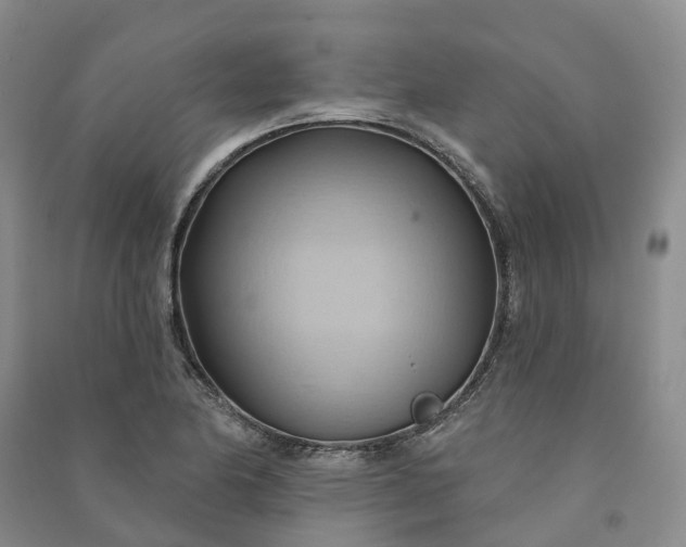 X0000090981174200708161850