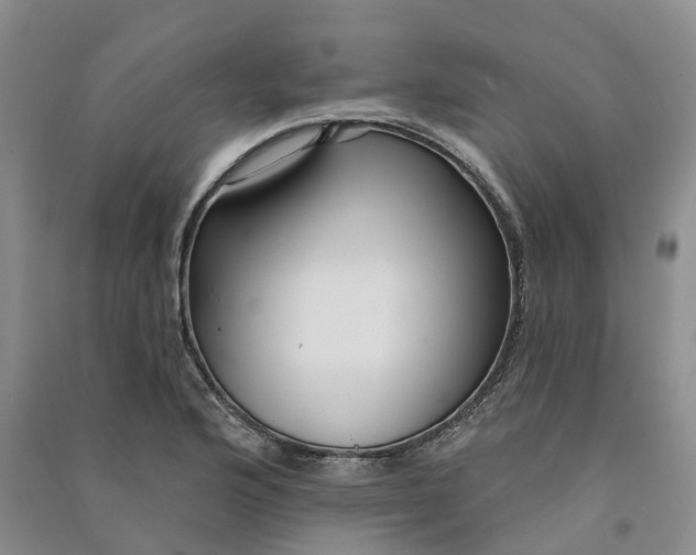 X0000090981176200708161850