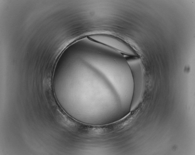 X0000090981177200708161850