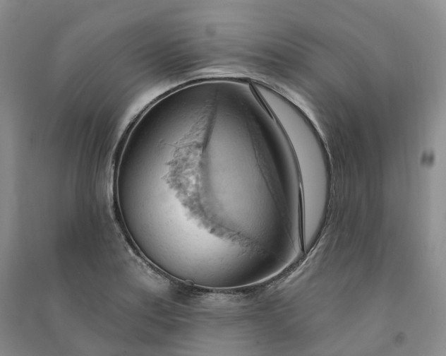 X0000090981179200708161850