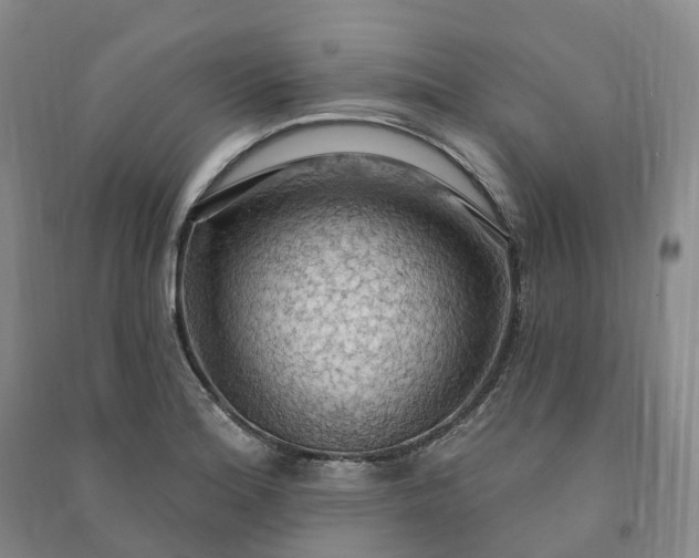 X0000090981180200708161850