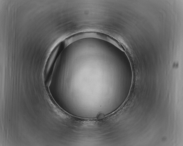 X0000090981181200708161850
