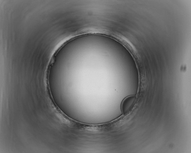 X0000090981182200708161850
