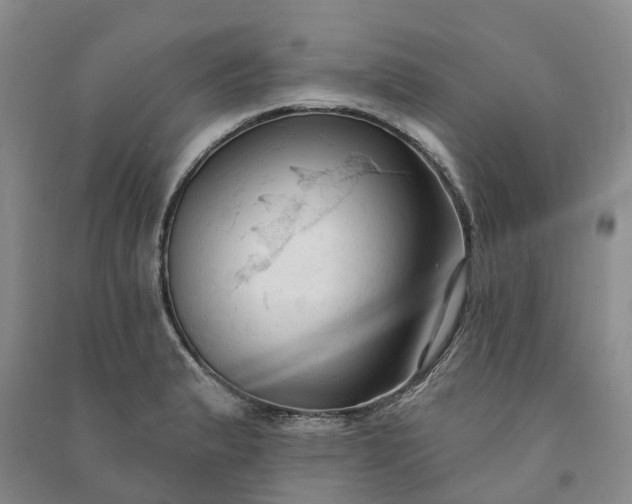 X0000090981183200708161850