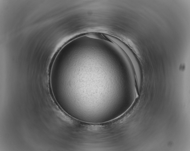X0000090981184200708161850