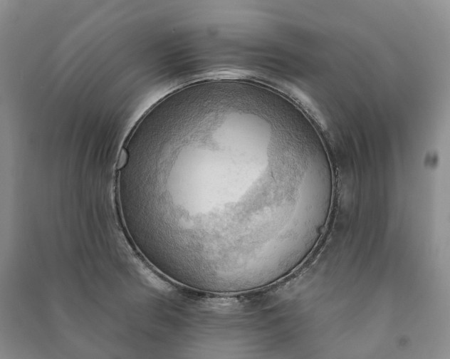 X0000090981186200708161850