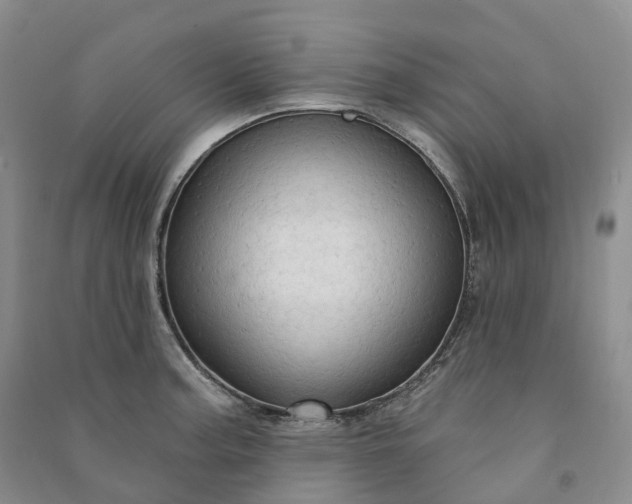 X0000090981187200708161850