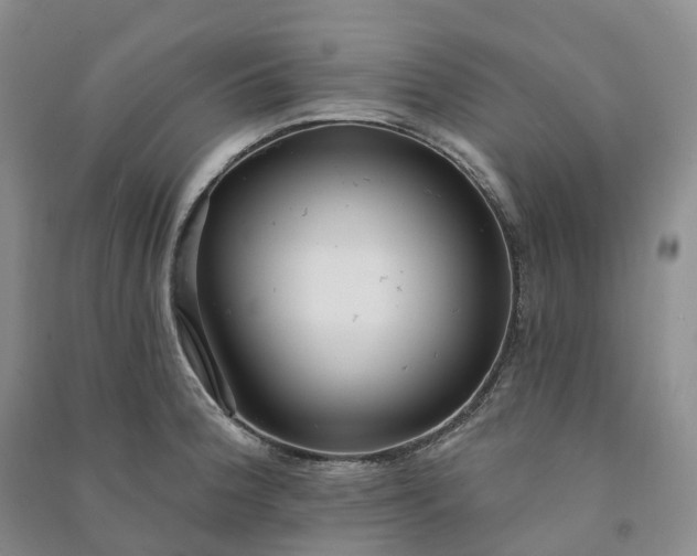 X0000090981188200708161850