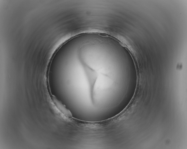 X0000090981189200708161849