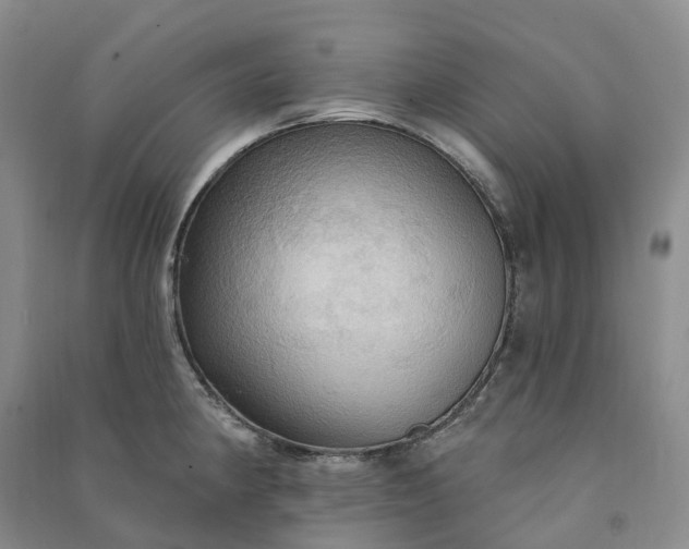 X0000090981190200708161849