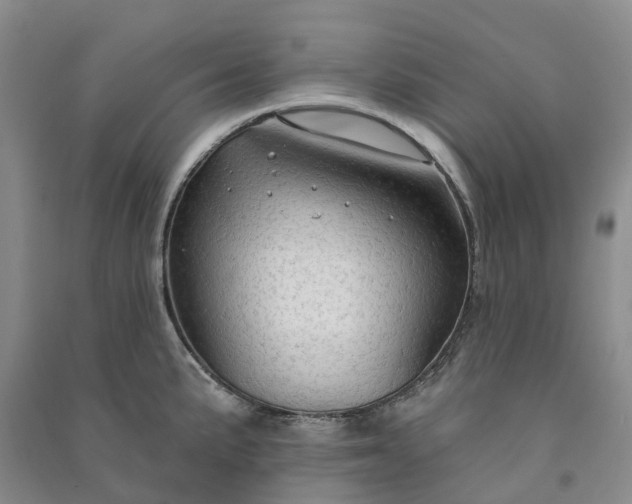 X0000090981191200708161849