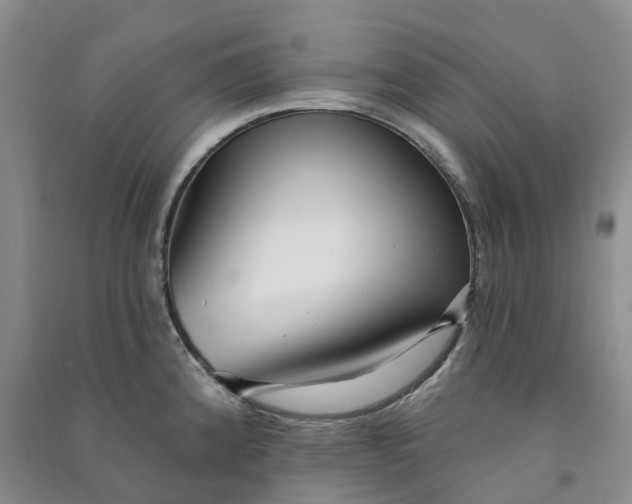 X0000090981192200708161849