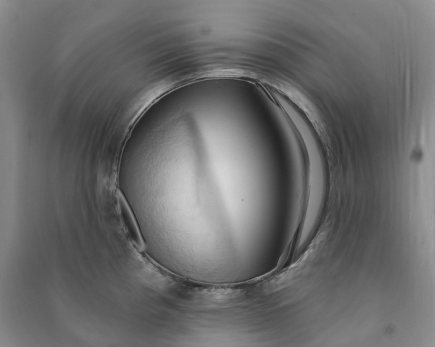 X0000090981193200708161849