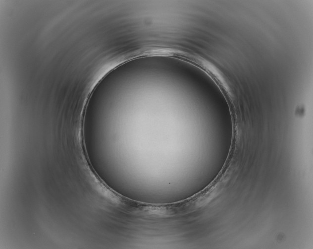 X0000090981194200708161849