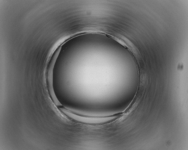 X0000090981196200708161849