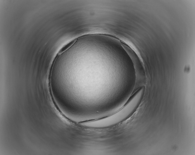 X0000090981197200708161849