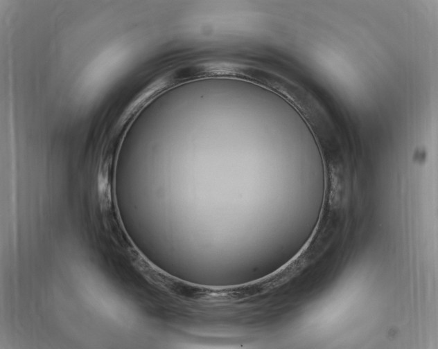 X0000090981198200708161849