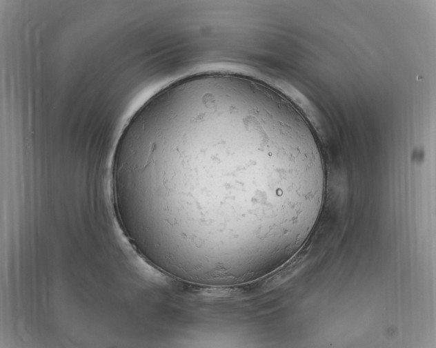 X0000090981199200708161849