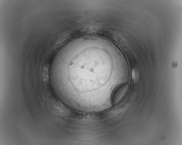 X0000090981203200708161849