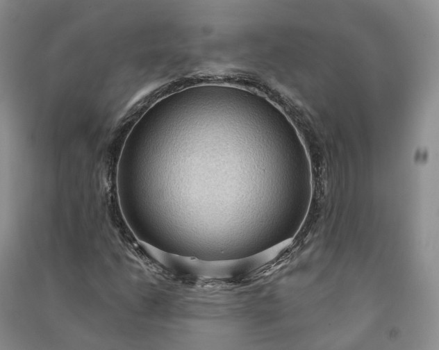 X0000090981206200708161849